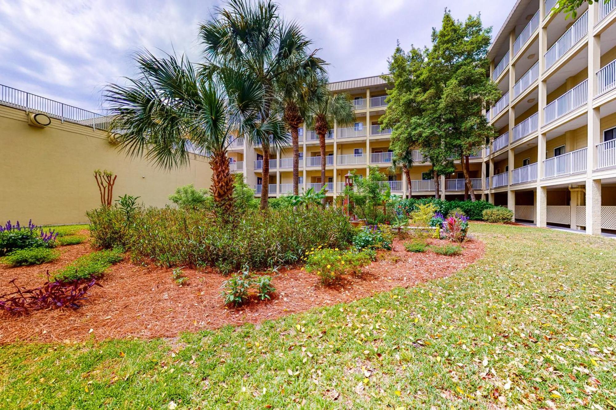 Hilton Head Resort Hilton Head Island Rom bilde