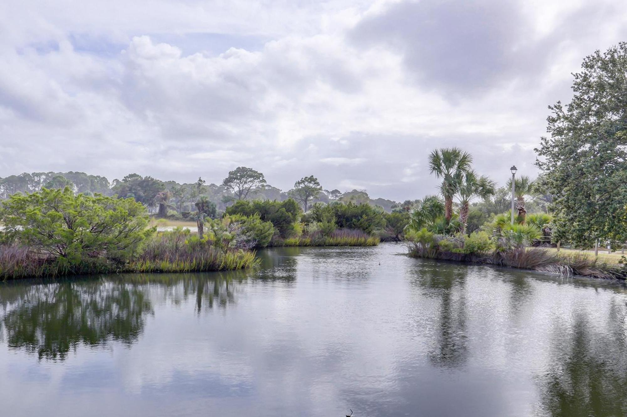 Hilton Head Resort Hilton Head Island Rom bilde