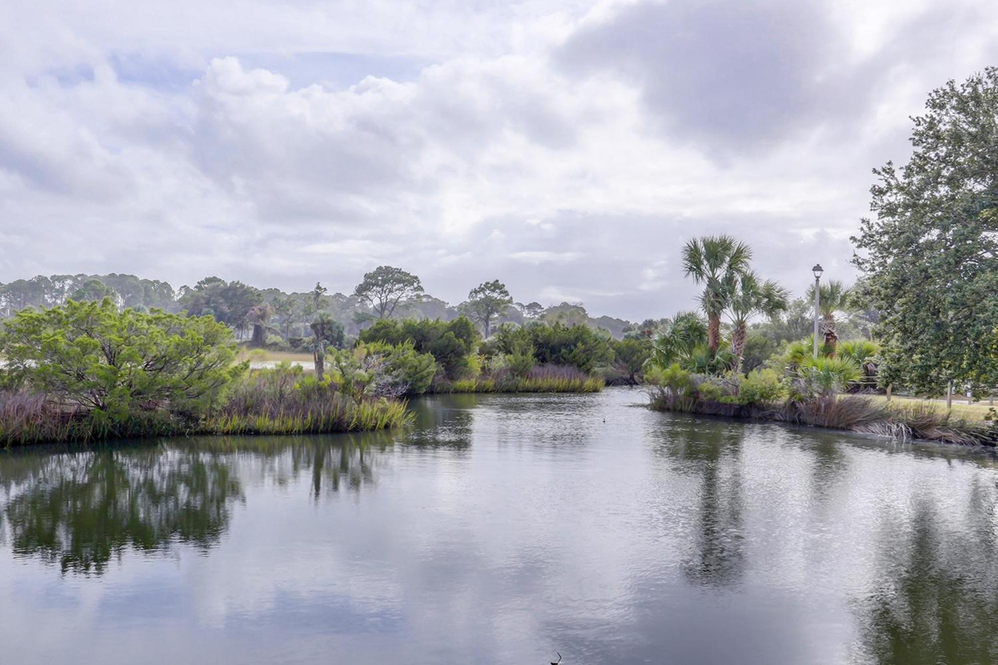 Hilton Head Resort Hilton Head Island Rom bilde