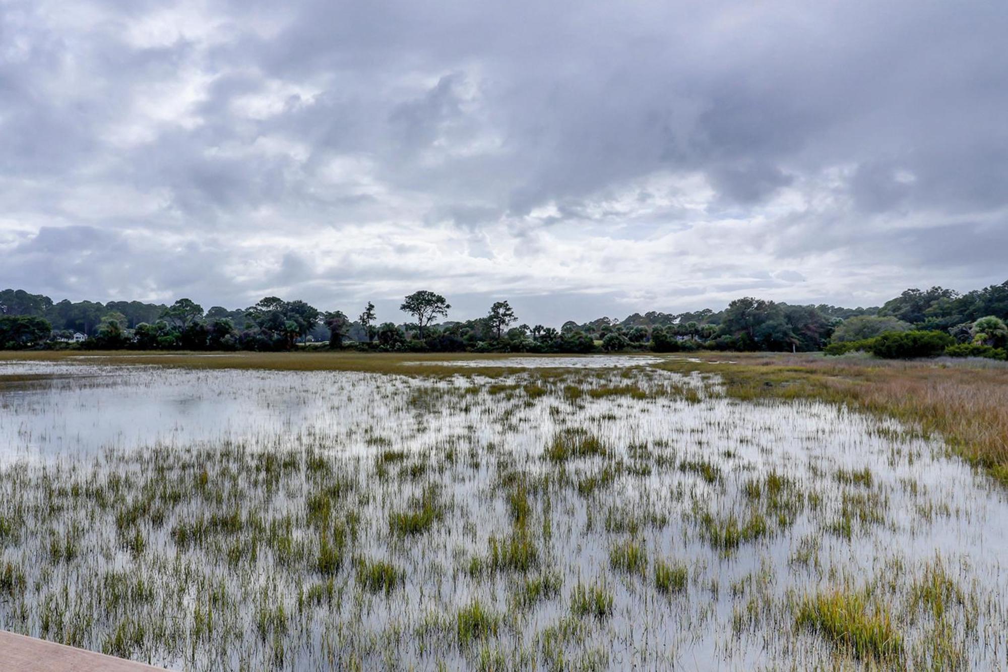 Hilton Head Resort Hilton Head Island Rom bilde